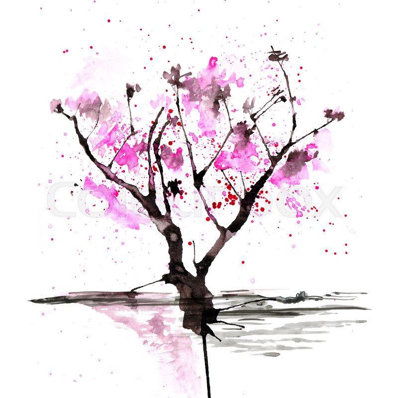 Sakura Tree Watercolor At Paintingvalley Com Explore Collection Of Sakura Tree Watercolor