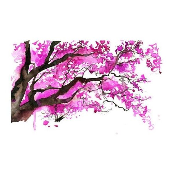 600x600 Watercolor Japanese Cherry Blossom Tree Painting, Jessica Durrant - Sakura Tree Watercolor