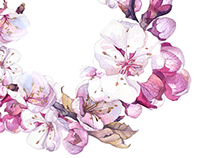 202x158 Sakura Watercolor On Behance - Sakura Watercolor