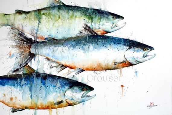 570x380 Salmon Watercolor Fish Art Print Salmon Painting Fish Print Etsy - Salmon Watercolor