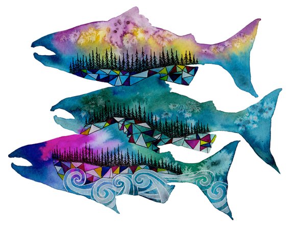 570x444 Salmon Print Salmon Art Salmon Watercolor Salmon Painting Etsy - Salmon Watercolor