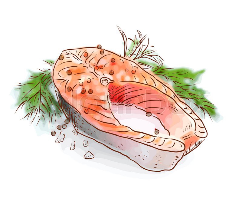 800x677 Salmon Stake. Watercolor Imitation With Sketch. Vector - Salmon Watercolor