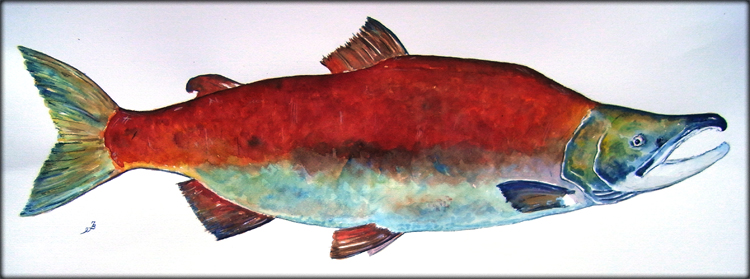750x279 San Martin Arts Crafts Sockeye Salmon - Salmon Watercolor