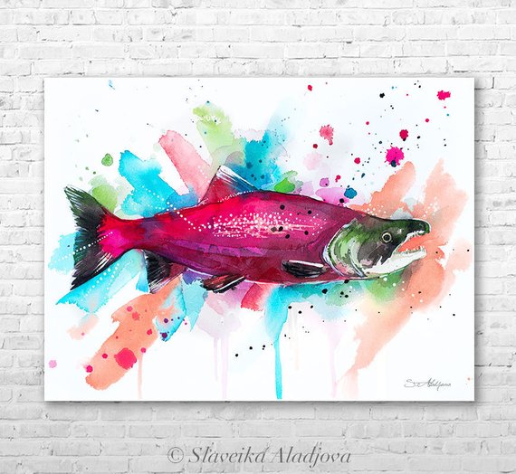 570x524 Sockeye Salmon Watercolor Painting Print By Slaveika Aladjova - Salmon Watercolor