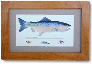 324x227 Watercolor King Salmon Print And Frame Free Shipping Cabin And - Salmon Watercolor