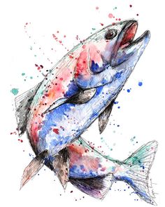 236x295 How To Watercolor Salmon - Salmon Watercolor