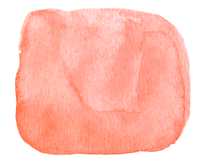 288x233 Elixify Your Life - Salmon Watercolor