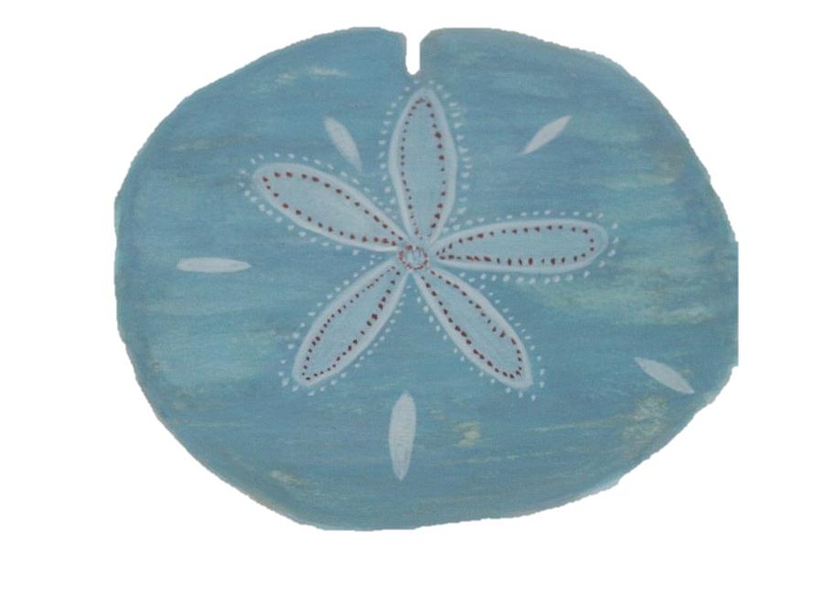 900x672 Original Sand Dollar Watercolor Painting Painting By Christian - Sand Dollar Watercolor