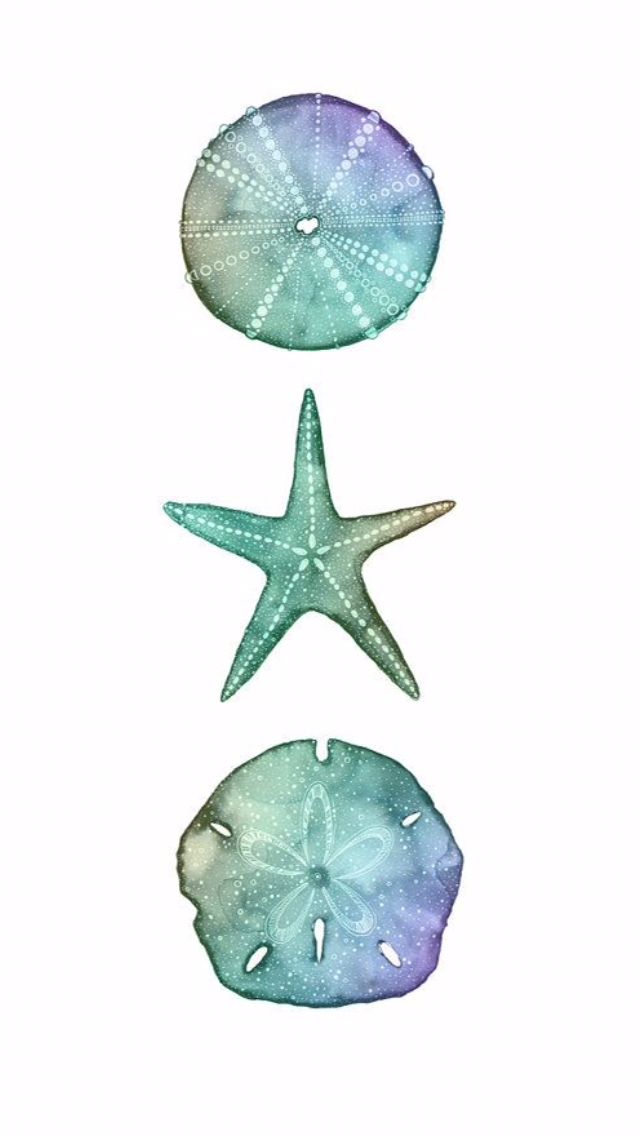 640x1136 Pin By Bria Ammirato On Tattoospiercings Sand - Sand Dollar Watercolor