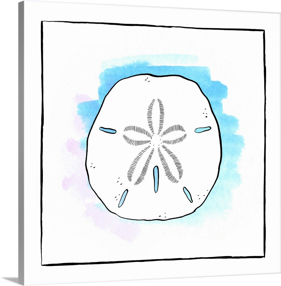 982x1000 Sand Dollar - Sand Dollar Watercolor