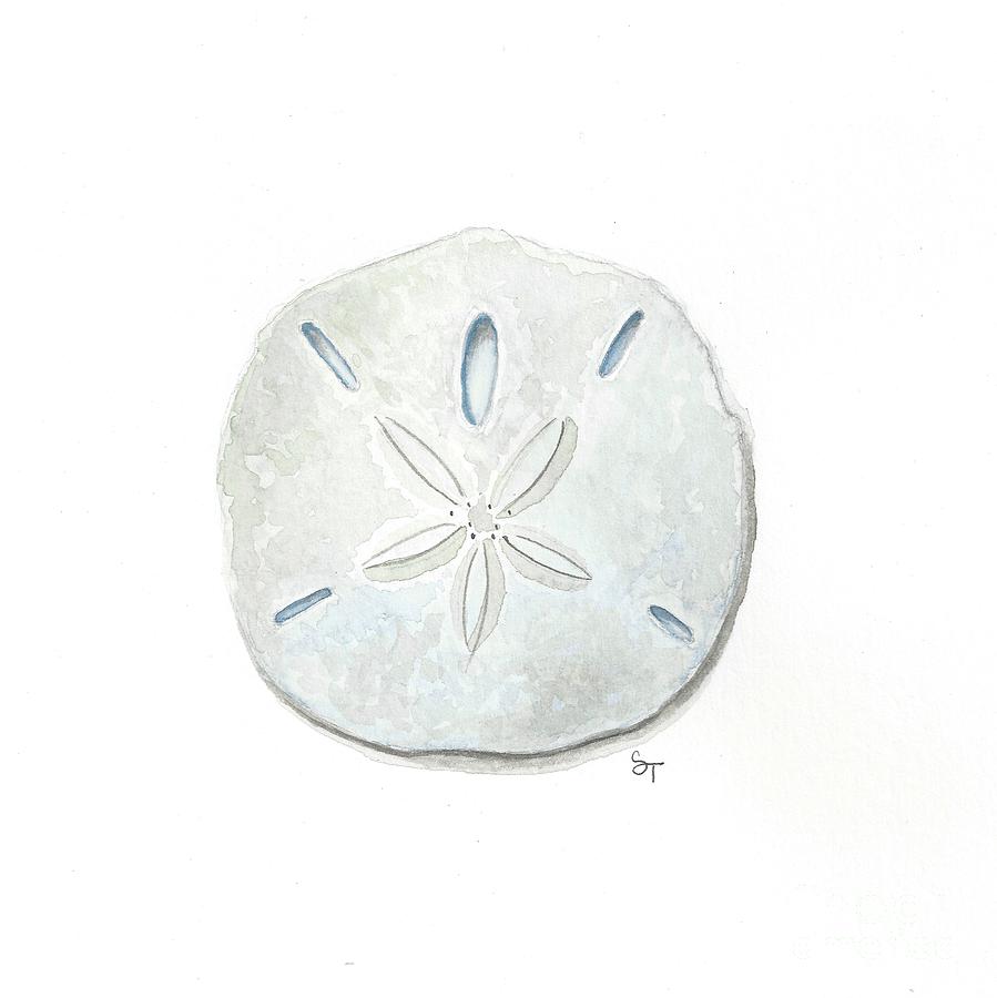 899x900 Sand Dollar Painting By Stephanie Troxell - Sand Dollar Watercolor