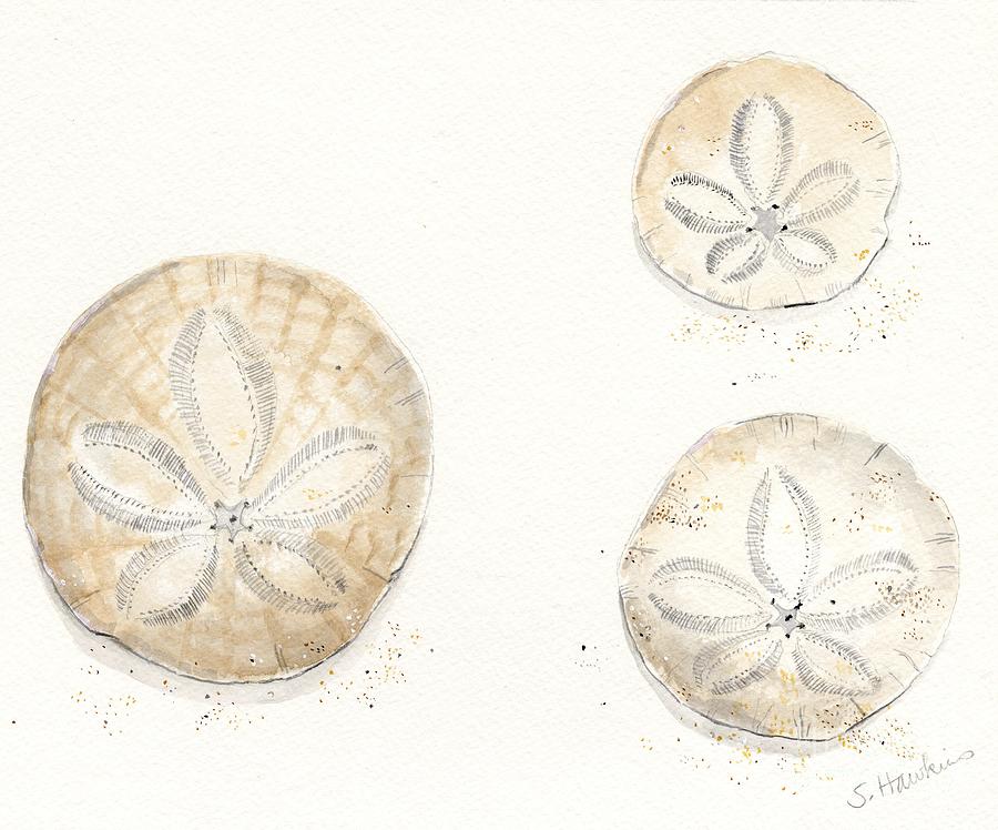 900x748 Sand Dollar Trio Watercolor Painting By Sheryl Heatherly Hawkins - Sand Dollar Watercolor