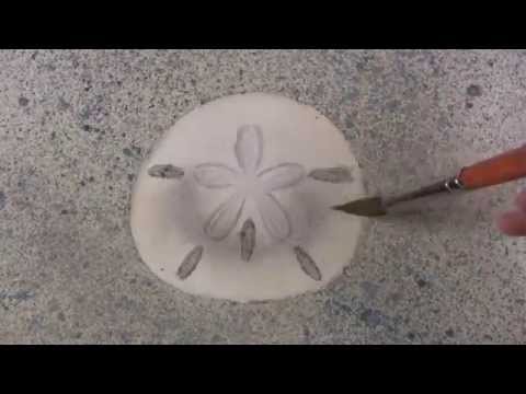 480x360 Watercolor How To Paint A Sand Dollar - Sand Dollar Watercolor