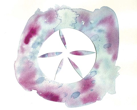 480x384 Watercolor Sand Dollar Fine Art Print By Summer Tali Hilty - Sand Dollar Watercolor