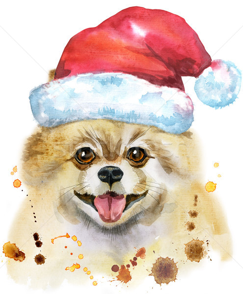 495x600 Watercolor Portrait Of Dog Pomeranian Spitz With Santa Hat Stock - Santa Hat Watercolor