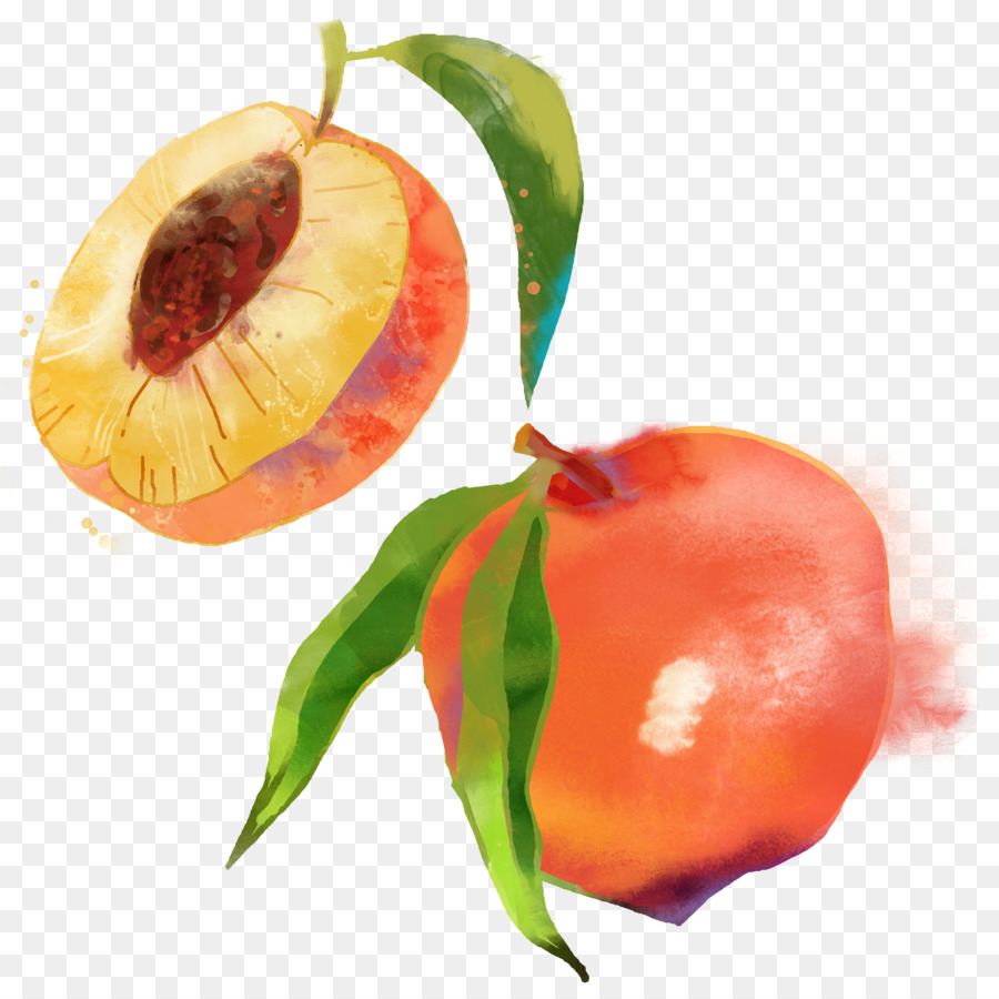 900x900 Saturn Peach Fruit Watercolor Painting - Saturn Watercolor