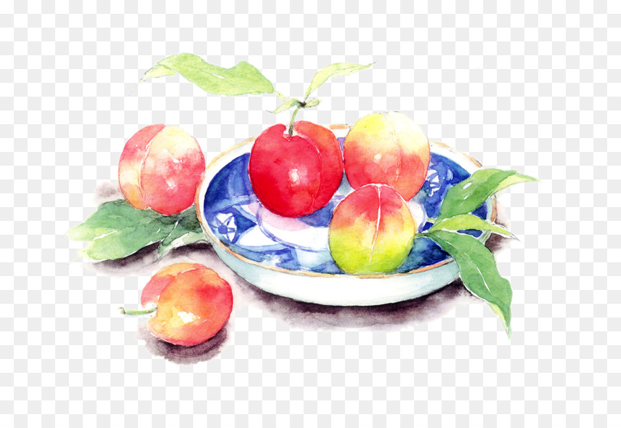 900x620 Saturn Peach Still Life Watercolor Painting Art - Saturn Watercolor