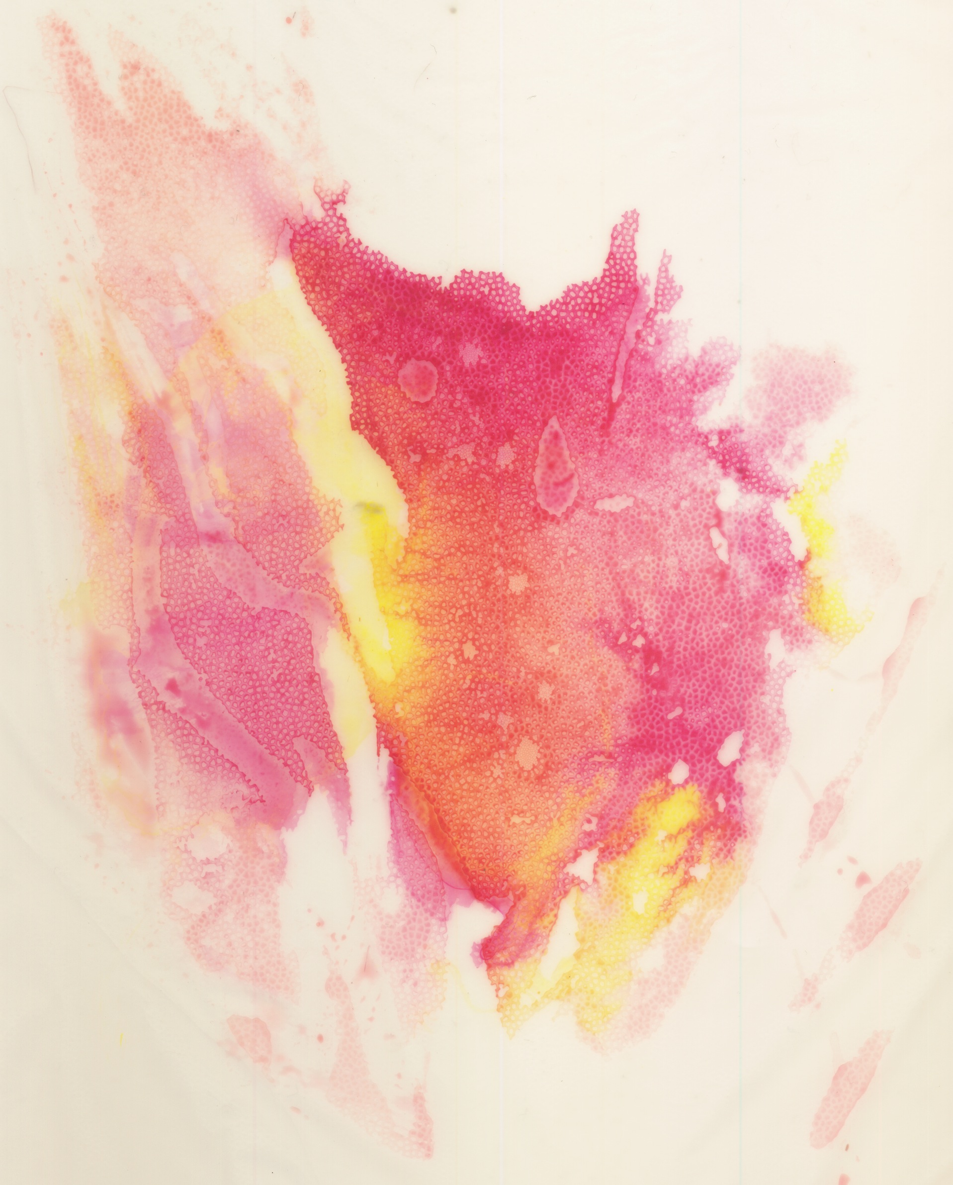 1917x2382 Heart Conscious Art Show Portfolio Of Rukmini Poddar - Scanning Watercolor