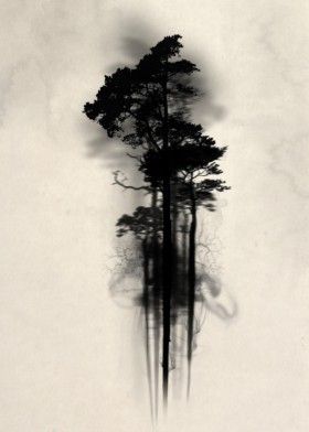 280x392 Forest Wood Woods Mist Fog Watercolor Tree Trees Floating Mystical - Scary Watercolor