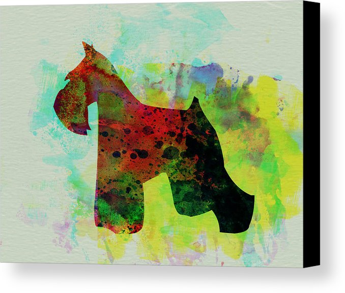 678x577 Miniature Schnauzer Watercolor Canvas Print Canvas Art By Naxart - Schnauzer Watercolor