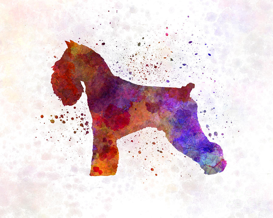 900x720 Schnauzer In Watercolor Painting By Pablo Romero - Schnauzer Watercolor