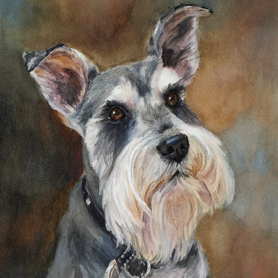 900x900 Schnauzer Printschnauzer Paintingschnauzer Artschnauzer - Schnauzer Watercolor