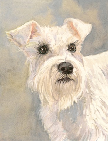 368x480 Edie Fagan - Schnauzer Watercolor