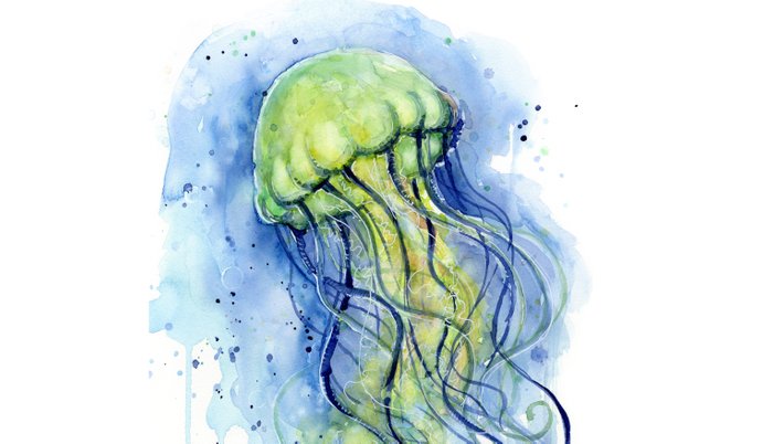 700x402 Jellyfish Watercolor Beautiful Sea Creatures Pillow Sham By - Sea Creatures Watercolor