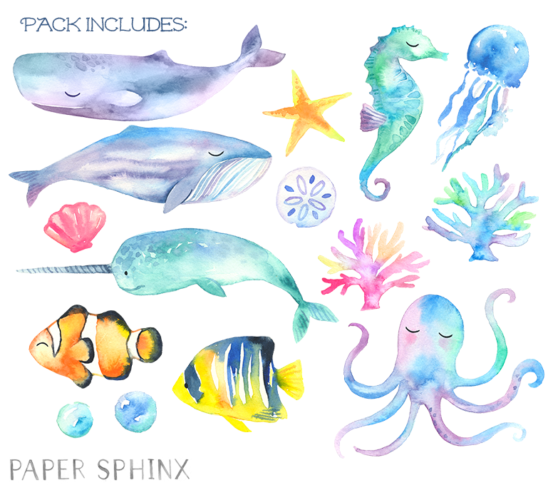 776x680 Sweet Sea Life Watercolor Pack 15 Sweet Ocean Hand Painted - Sea Creatures Watercolor