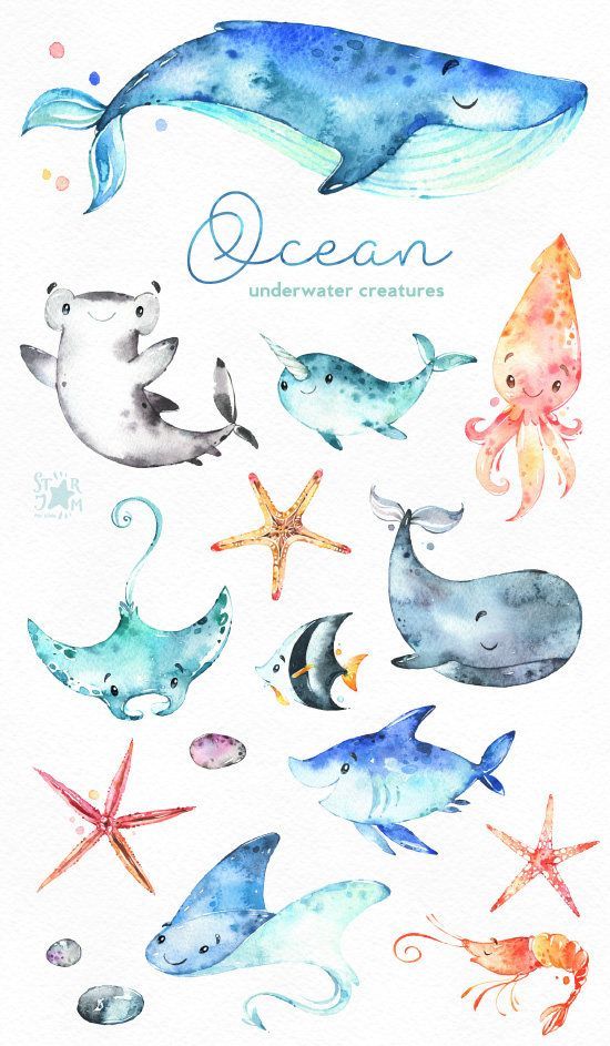 550x943 This Ocean Creatures Watercolor Set Is Just What You Needed For - Sea Creatures Watercolor