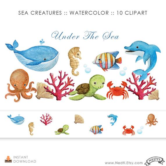 570x570 Watercolor. Sea Creatures Digital Clipart. Painting Download. Etsy - Sea Creatures Watercolor
