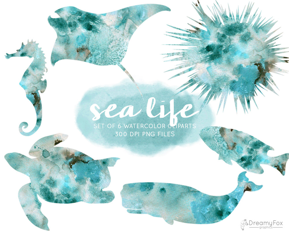 1000x806 Watercolor Sea Life Clipart Set Instant Download Ocean Etsy - Sea Creatures Watercolor