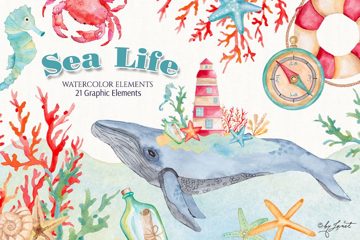 1158x772 Sea Life Watercolor - Sea Life Watercolor