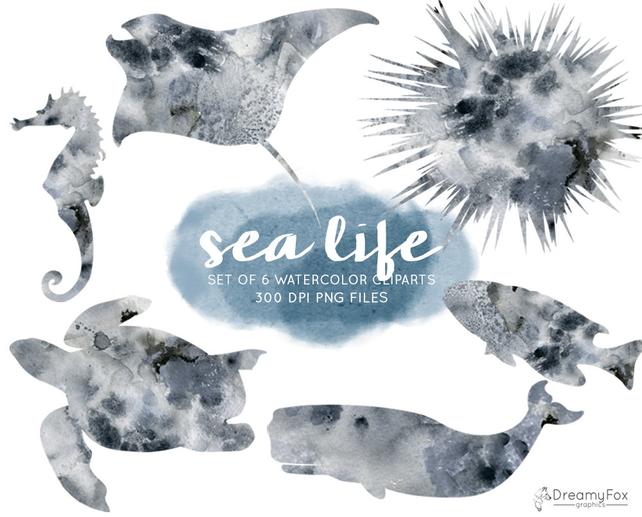 642x517 Sea Life Watercolor Clipart Set Commercial Use Sea Animals Etsy - Sea Life Watercolor