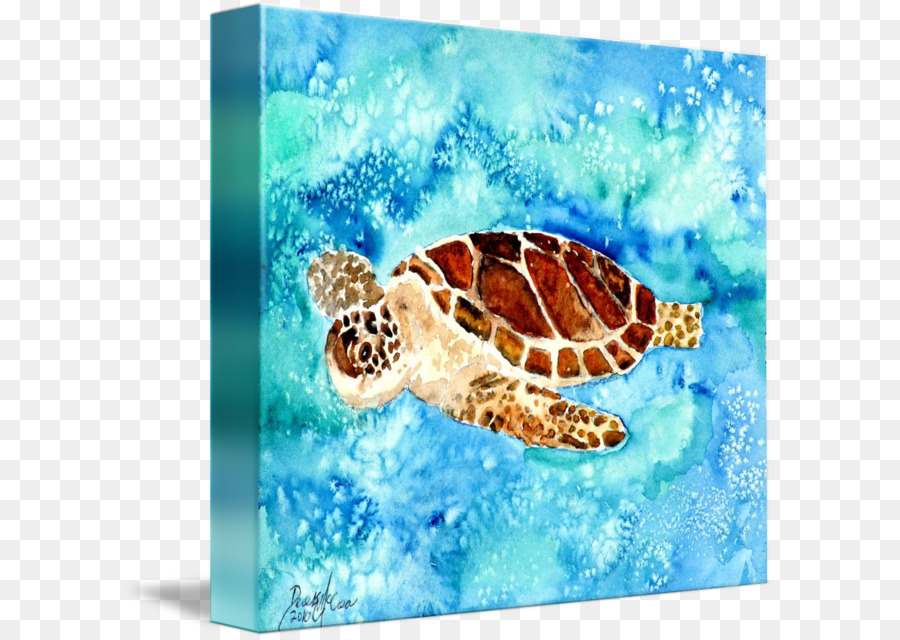 900x640 Sea Turtle Watercolor Painting Art Museum - Sea Life Watercolor