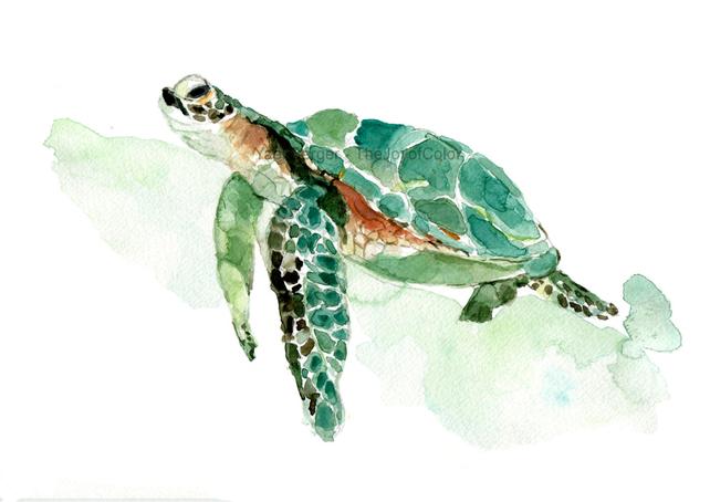 642x454 Sea Turtle Watercolor Print Sea Turtle Painting Sea Life Etsy - Sea Life Watercolor