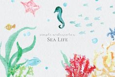 236x157 Sweet Sea Life Watercolor Pack Watercolor And Illustrations - Sea Life Watercolor