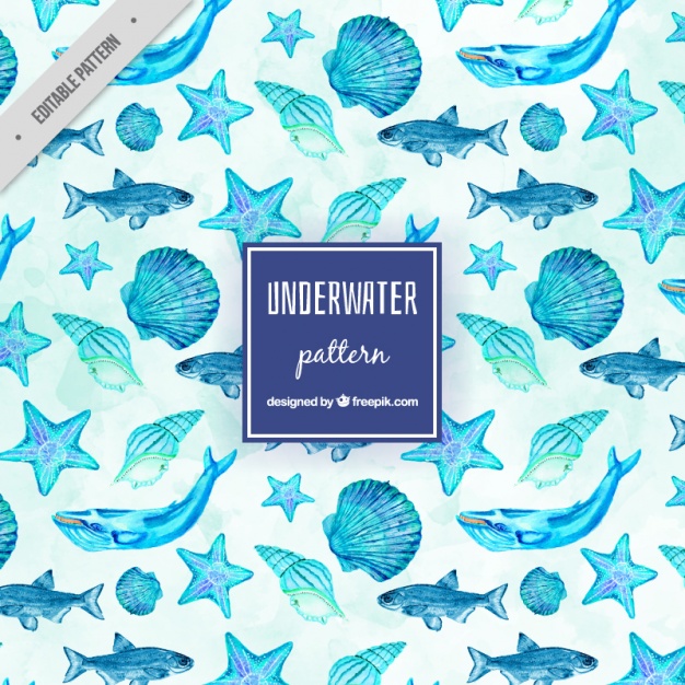 626x626 Watercolor Sea Life Pattern Vector Free Download - Sea Life Watercolor