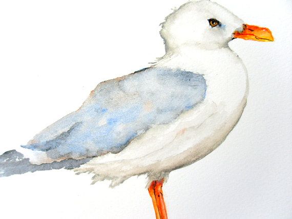 570x428 Original Bird Painting Bird Art Portrait Seagull Watercolor - Seagull Watercolor