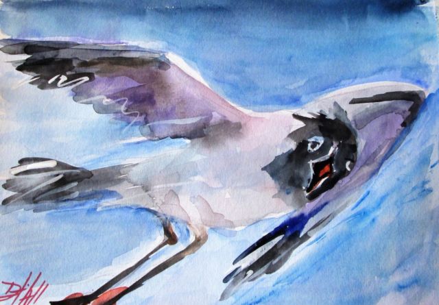 640x445 Seagull Bird Gull Watercolor Flying Original Delilah Art Ebay - Seagull Watercolor
