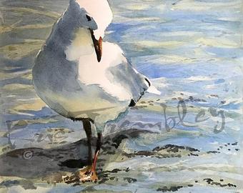 340x270 Seagull Watercolor Etsy - Seagull Watercolor