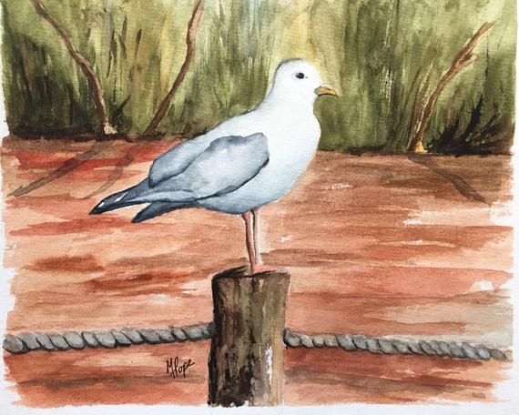 570x456 Seagull Watercolor Paintingseagullwatercolor And Etsy - Seagull Watercolor