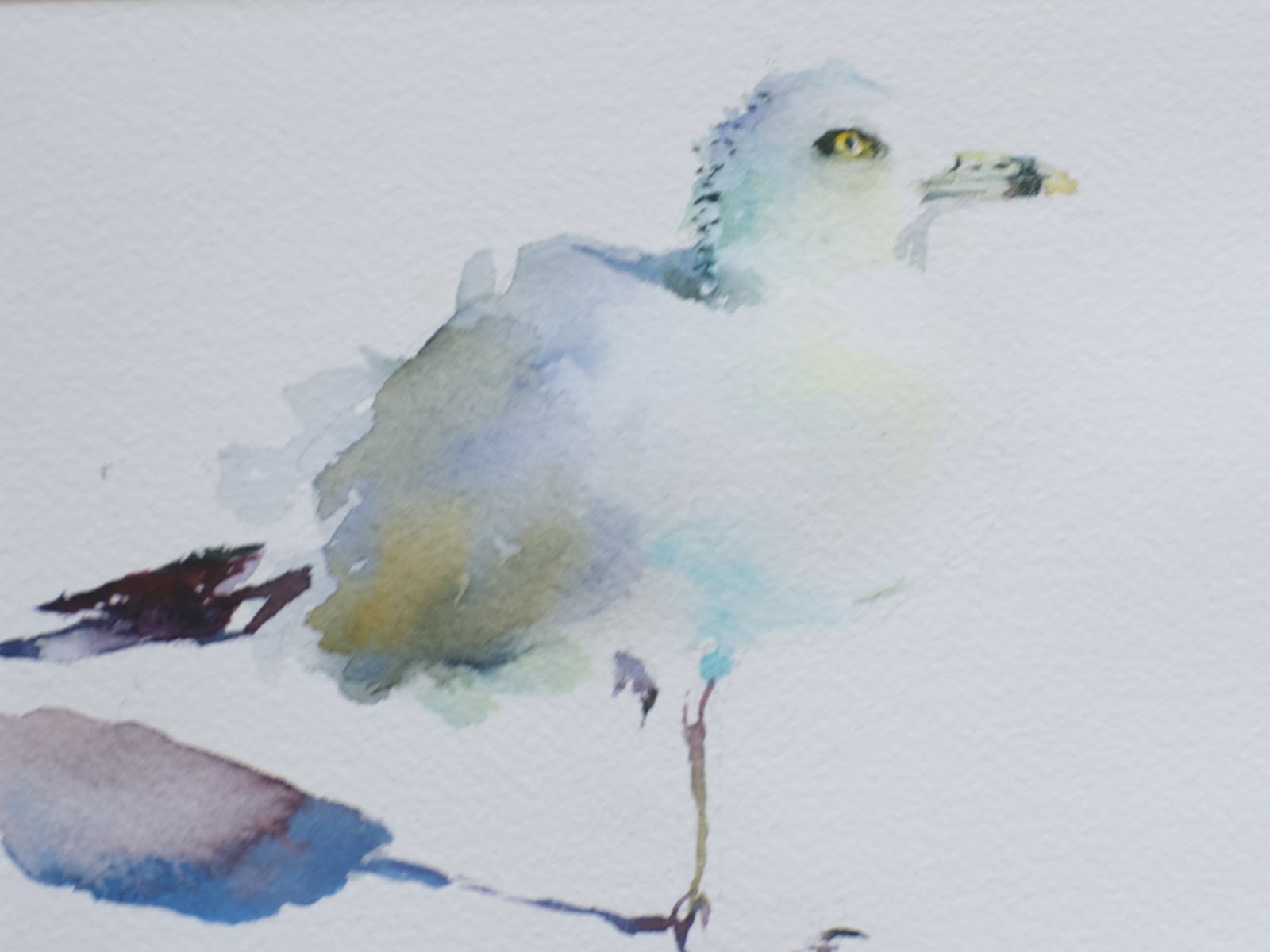 1600x1200 Sue Churchgrant Daily Painting - Seagull Watercolor