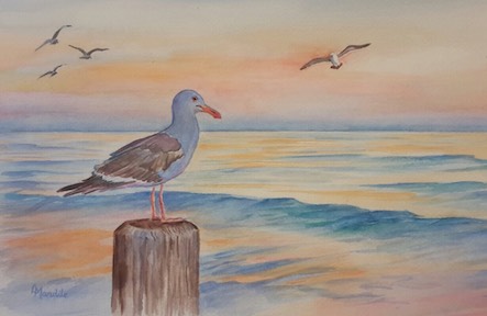 443x288 Watercolor Seagull Main Avenue Galleria Amp School Of Art - Seagull Watercolor