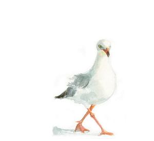 300x276 Watercolor Seagull Ii, Seagull Ii Print Jen Holloway Art - Seagull Watercolor