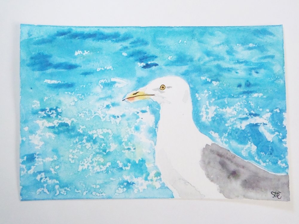 1000x750 Seagull Portrait Watercolor Sea Blue White Yacht Ooak Art - Seagull Watercolor