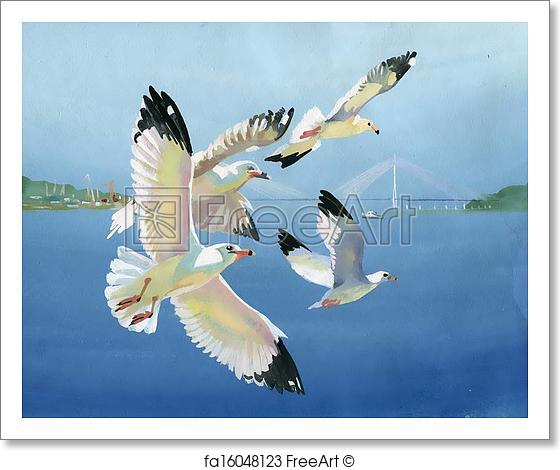 560x470 Free Art Print Of Watercolor Seagulls. Original Art, Watercolor - Seagull Watercolor