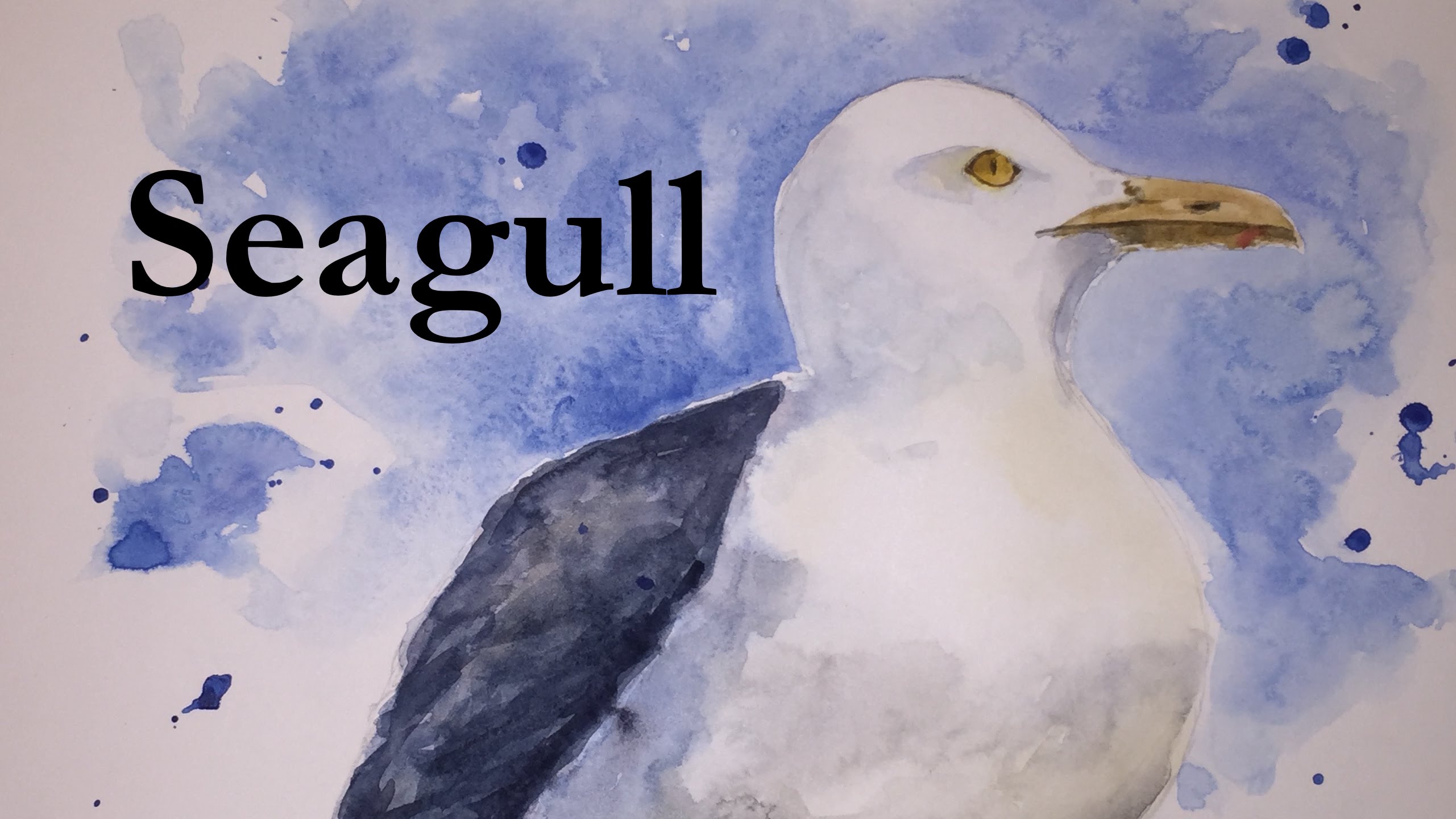 2561x1440 How To Paint A Seagull In Watercolour Watercolor Bird Shore Sea - Seagull Watercolor