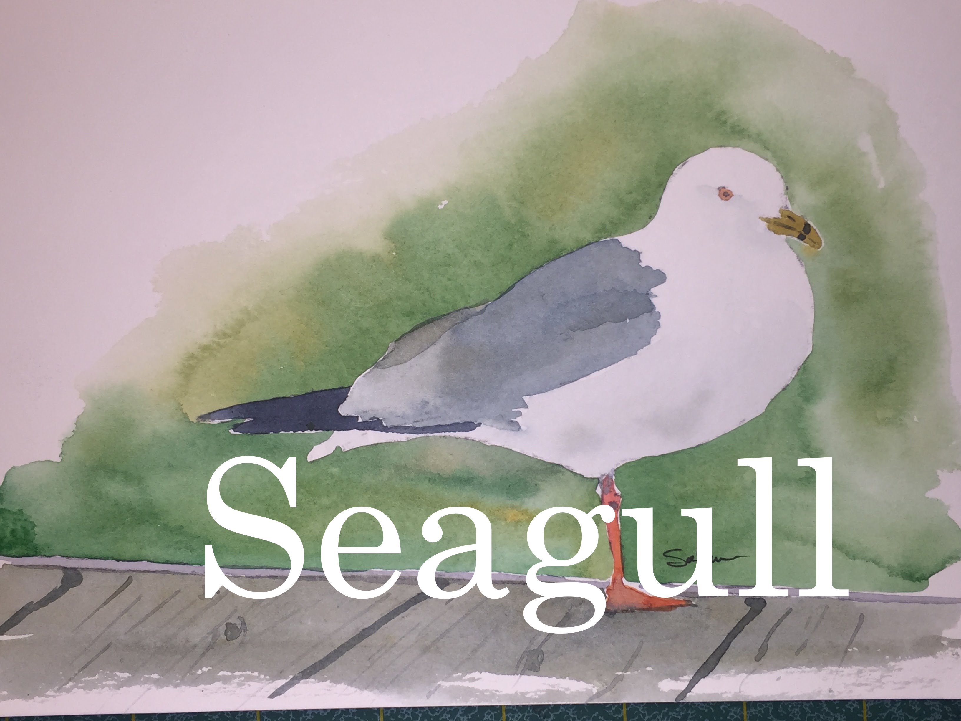 3264x2448 How To Paint A Seagull In Watercolour Watercolor Tutorial Dock - Seagull Watercolor