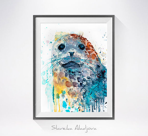 570x525 Harbor Seal Watercolor Painting Print - Seal Watercolor